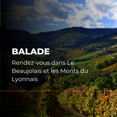 Balade à Moto dans le Beaujolais et les Monts du Lyonnais
